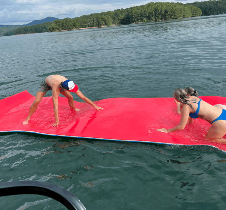 A Large Lily Pad Water Equipment Lake Blue Ridge