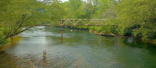Toccoa River