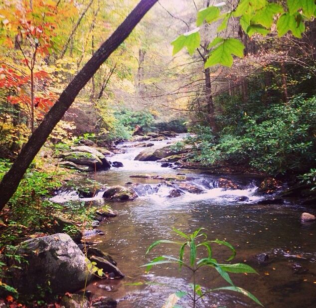 Jacks & Conasauga Rivers