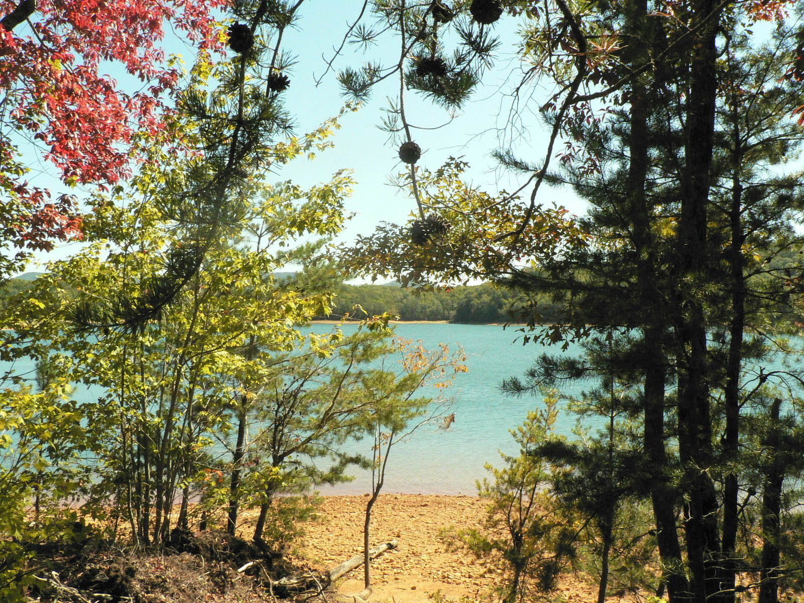 Lake Blue Ridge Loop Trail