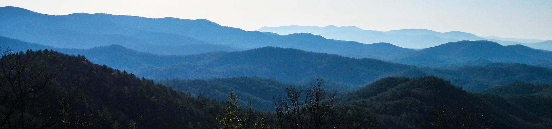 Cohutta Wildlife Management Area