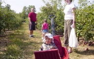 Apple Orchard Alley