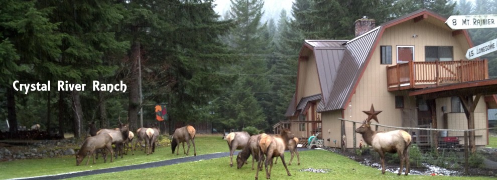 Crystal River Ranch