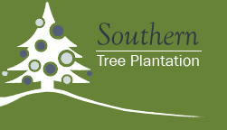 Southern Tree Plantation