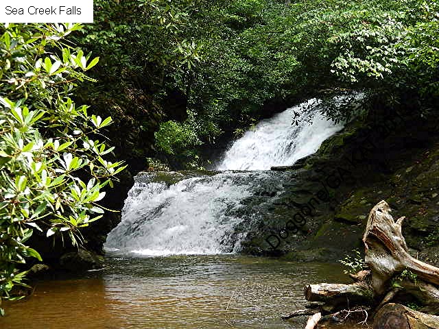 Sea Creek Falls