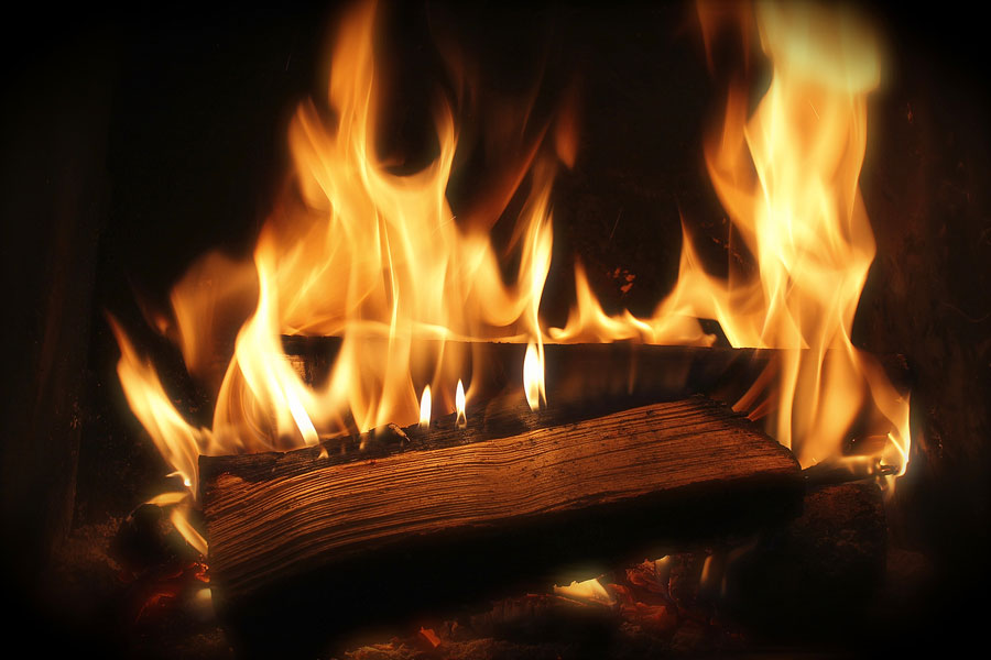 Firewood