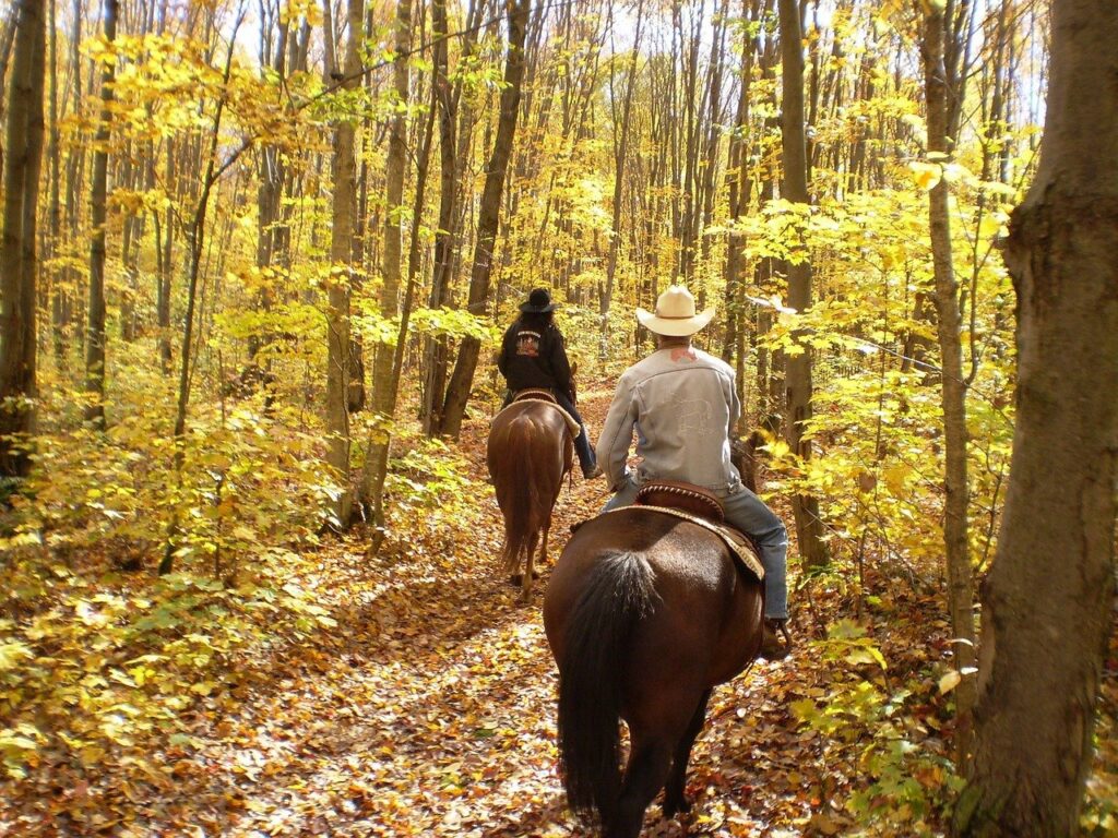 Horseback Riding in Georgia Blue Ridge Mountains