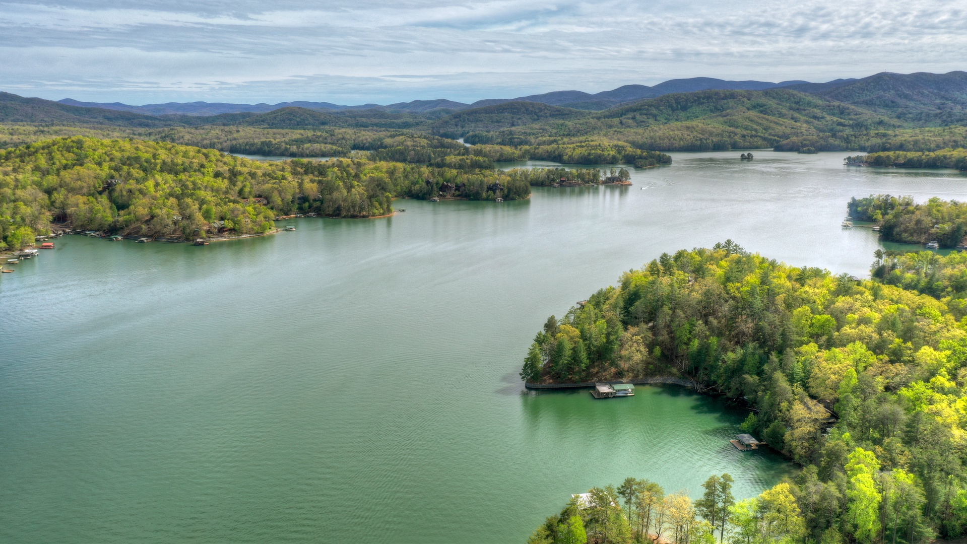 Lake Blue Ridge From Above