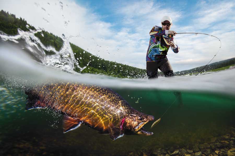 Blue Ridge Area Fishing & Hunting