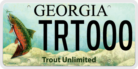 State of Georgia Fishing License, Permits & Passes