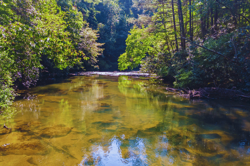 Blue Ridge Mountain Rentals