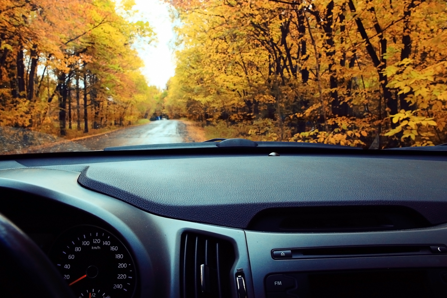 Dash of Car Taking a Fall Drive