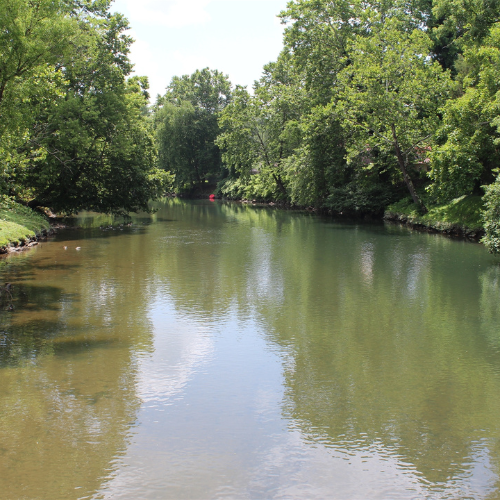River Near Mineral Bluff Georgia