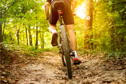 Person Mountain Biking in Ellijay GA