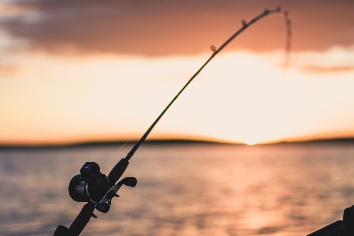 Sunset fishing on Nottely Lake