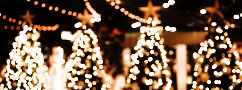 Trees with lights