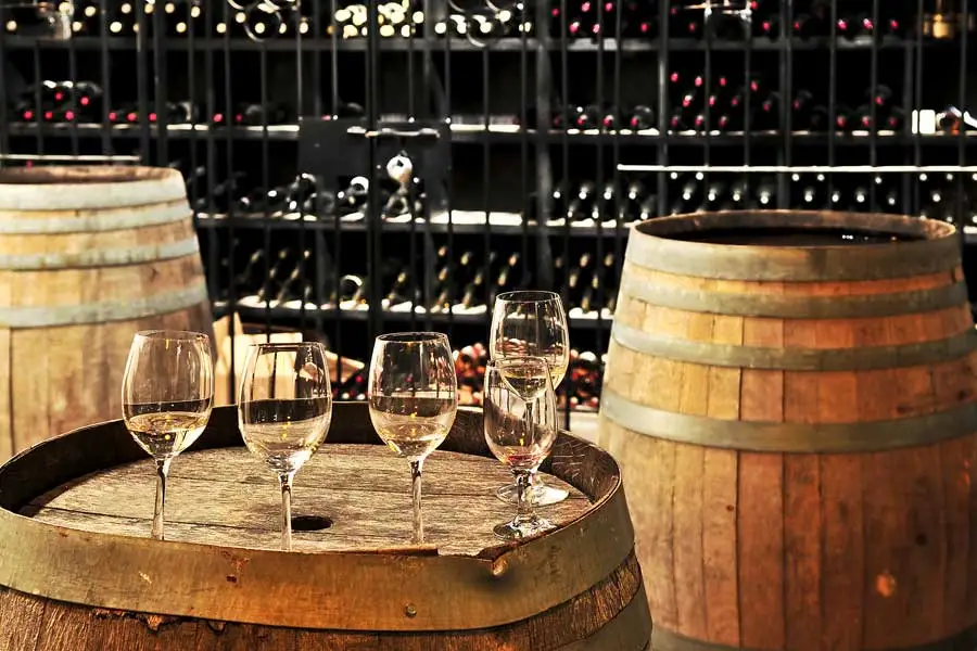 Wineries & Vineyards