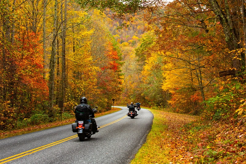 MotorcycleFriendlyCabinRentals