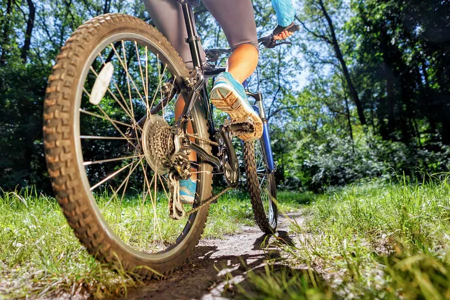 Blue Ridge Mountain & Road Biking Trails